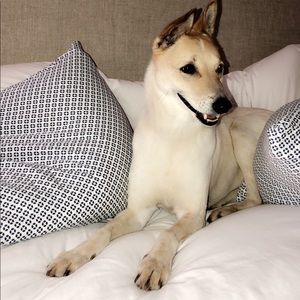 Meet your Posher, Karma